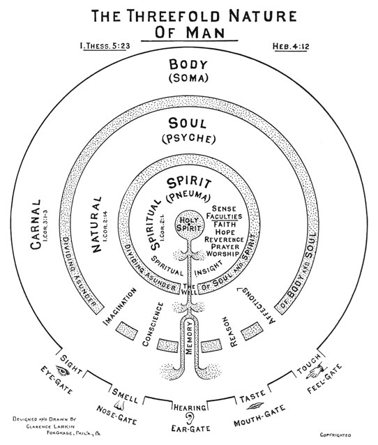 [Image: c59_542.jpg]